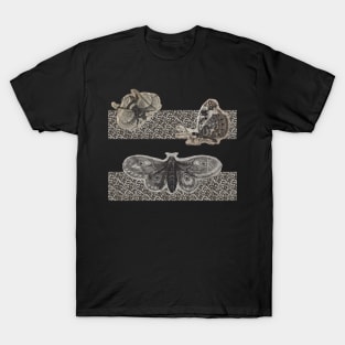 abstract lost moth T-Shirt